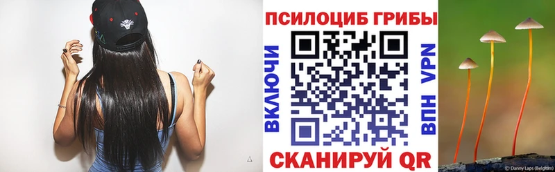 Галлюциногенные грибы мухоморы  Инсар 